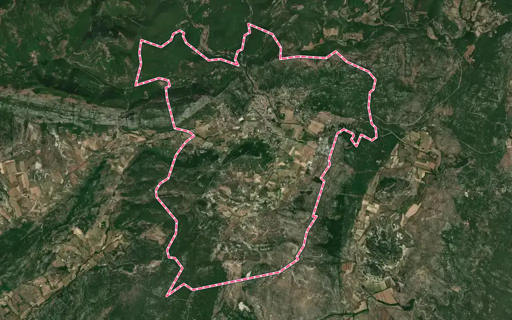 Vue satellite de Saint-Hippolyte-du-Fort avec ses contours administratifs