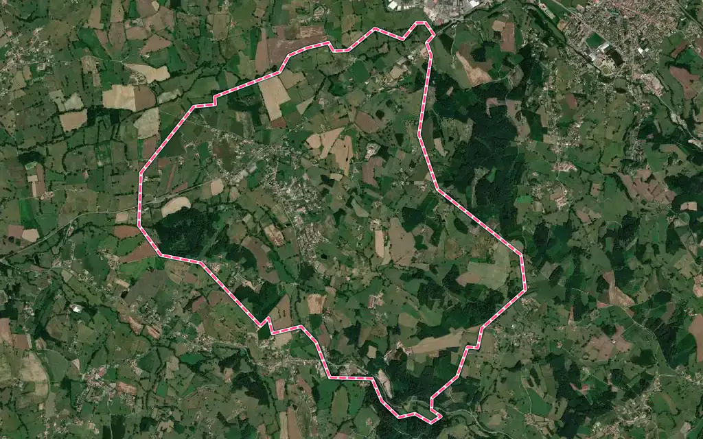 Vue satellite de Saint-Igny-de-Roche avec ses contours administratifs