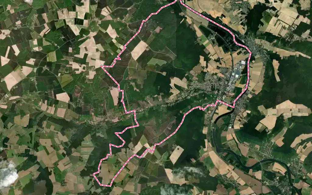 Vue satellite de Saint-Julien-du-Sault avec ses contours administratifs