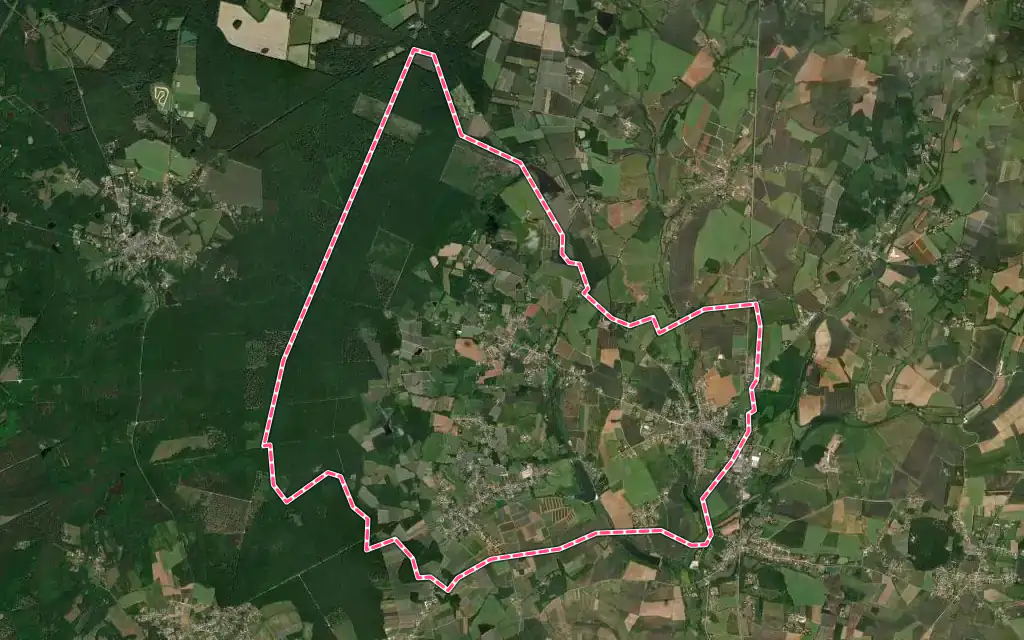 Vue satellite de Saint-Martin-d'Auxigny avec ses contours administratifs