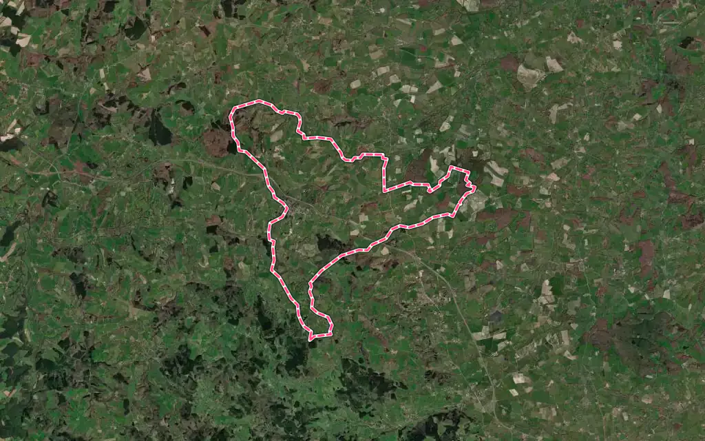 Vue satellite de Saint-Martin-d'Estréaux avec ses contours administratifs