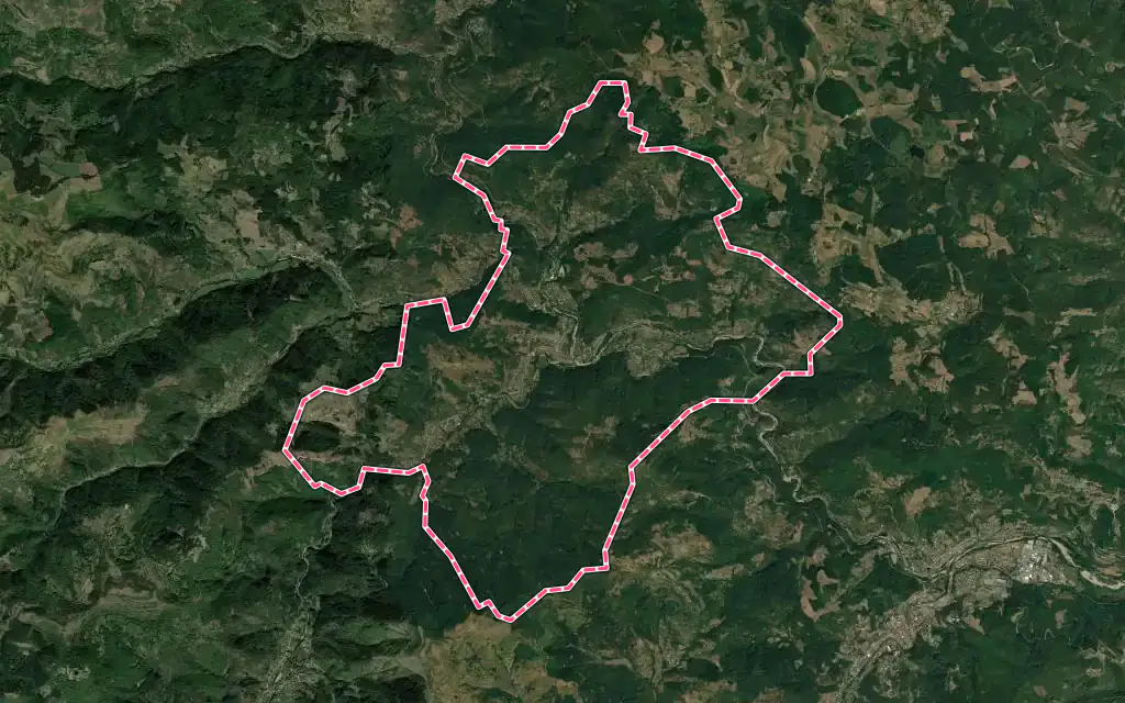 Vue satellite de Saint-Martin-de-Valamas avec ses contours administratifs