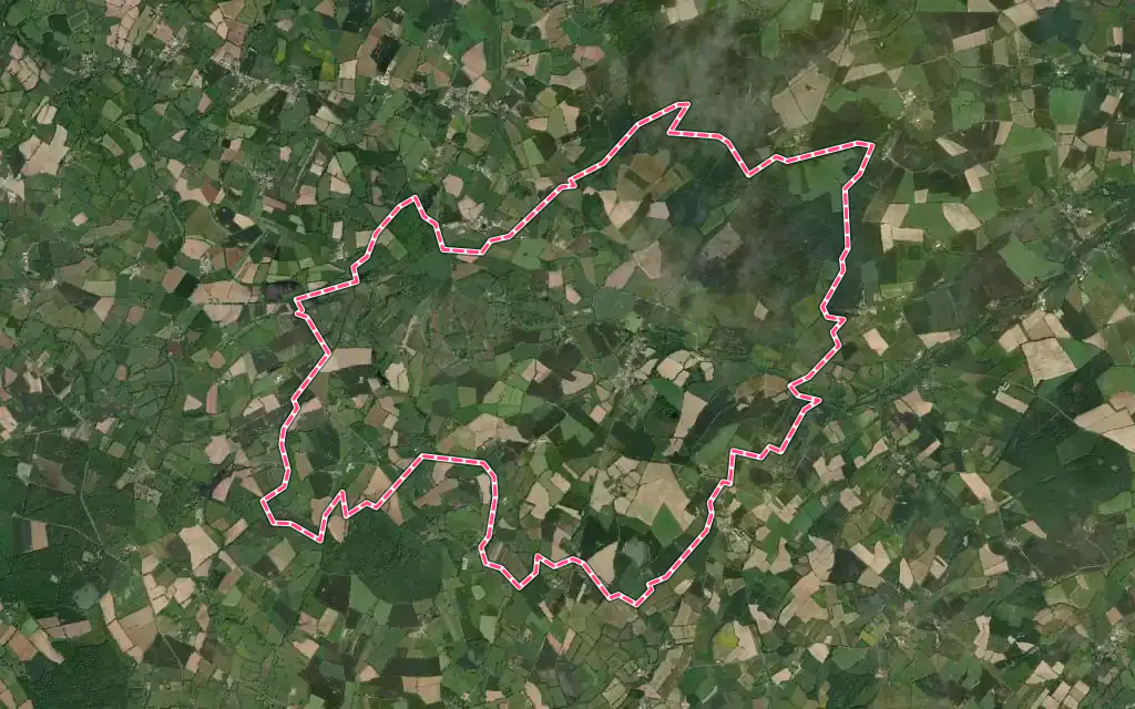 Vue satellite de Saint-Martin-du-Fouilloux avec ses contours administratifs