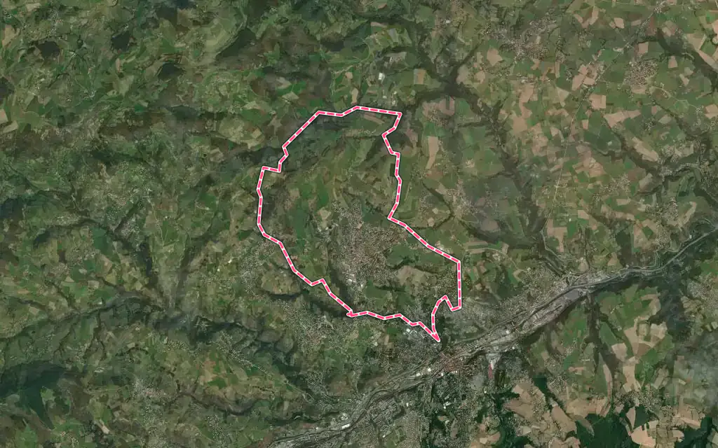 Vue satellite de Saint-Martin-la-Plaine avec ses contours administratifs