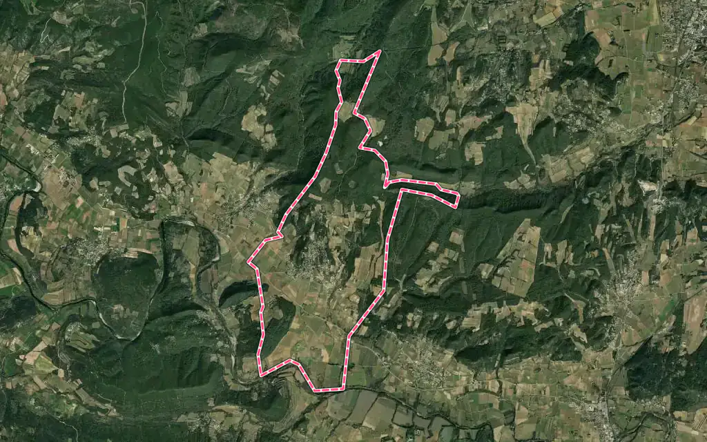 Vue satellite de Saint-Michel-d'Euzet avec ses contours administratifs