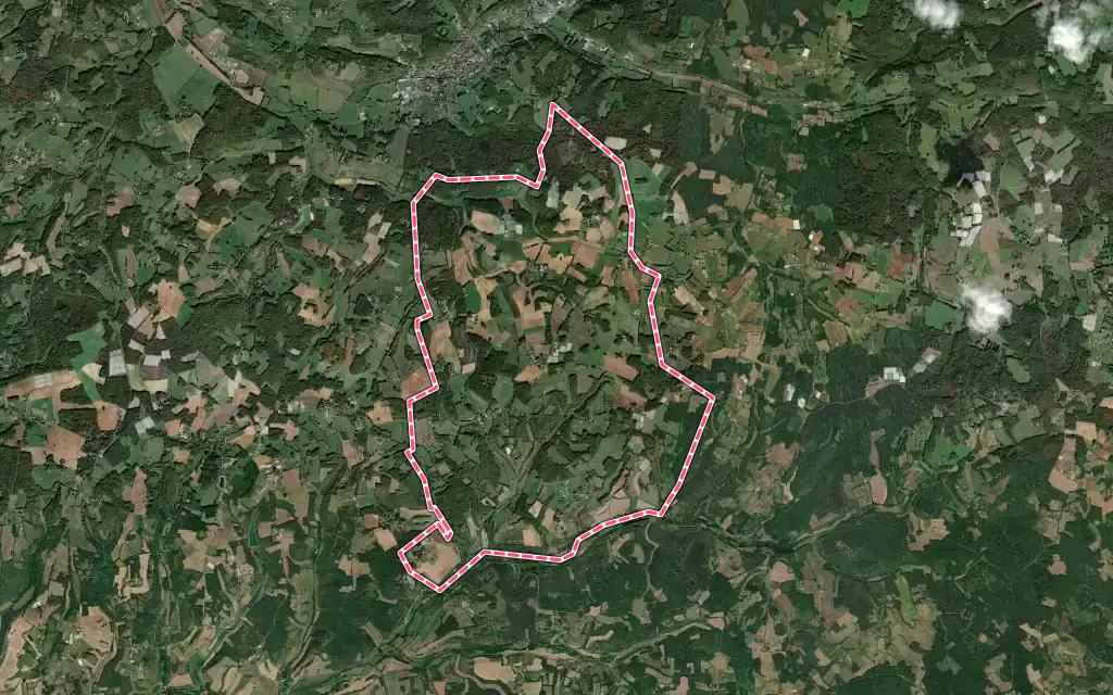 Vue satellite de Saint-Michel-de-Villadeix avec ses contours administratifs