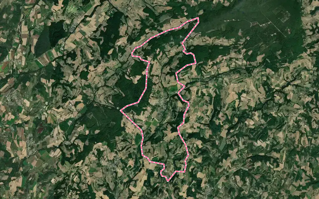 Vue satellite de Saint-Michel-sur-Savasse avec ses contours administratifs