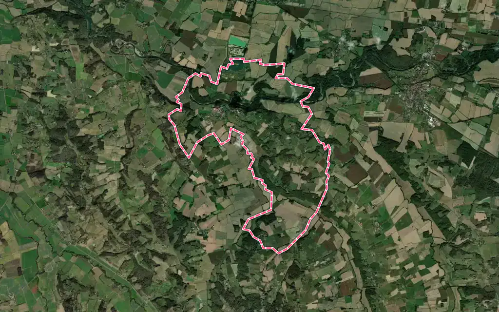 Vue satellite de Saint-Mont avec ses contours administratifs