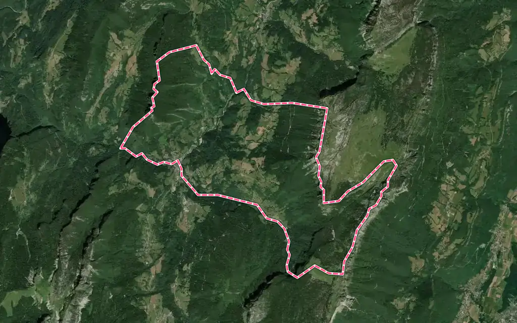 Vue satellite de Saint-Pierre-d'Entremont avec ses contours administratifs