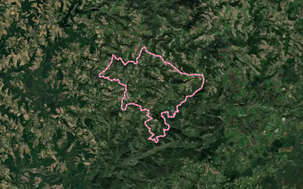 Vue satellite de Saint-Pierre-de-Trivisy avec ses contours administratifs