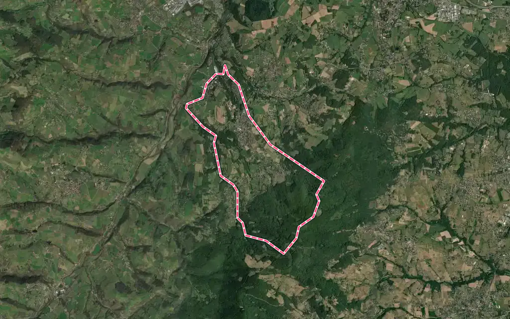 Vue satellite de Saint-Pierre-la-Palud avec ses contours administratifs