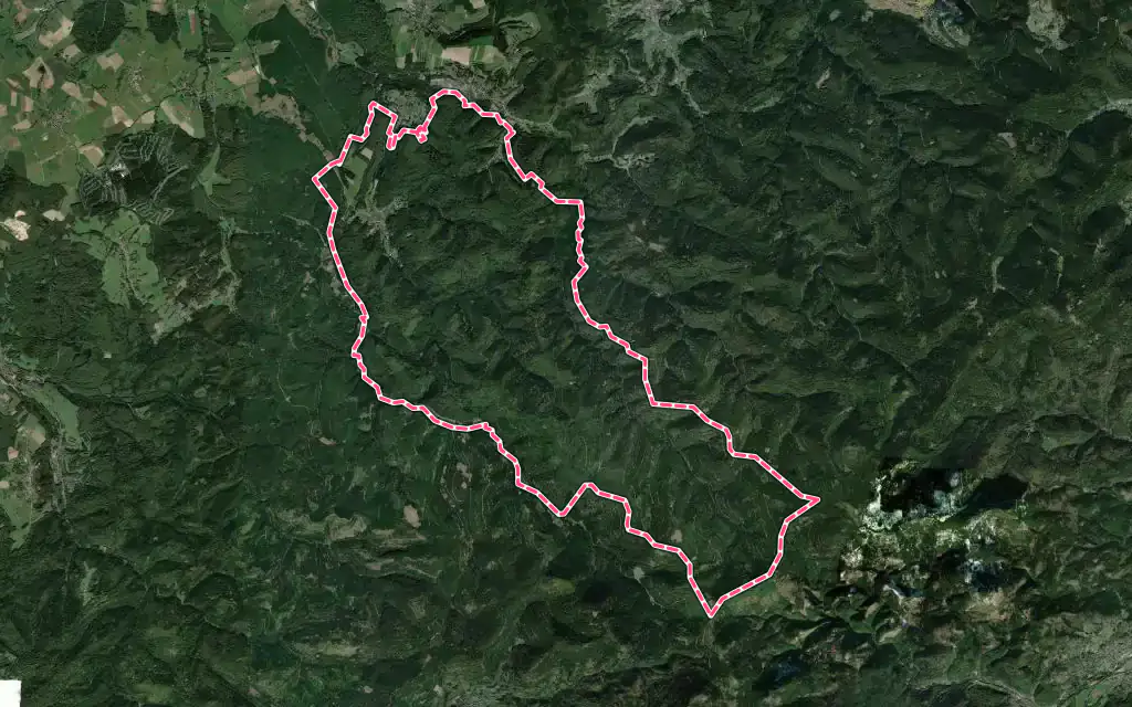 Vue satellite de Saint-Quirin avec ses contours administratifs