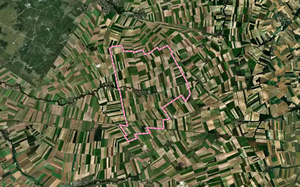 Vue satellite de Saint-Remy-sur-Bussy avec ses contours administratifs
