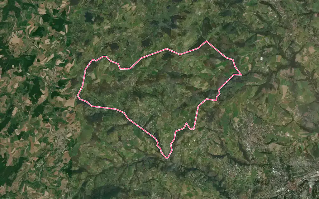 Vue satellite de Saint-Romain-en-Jarez avec ses contours administratifs