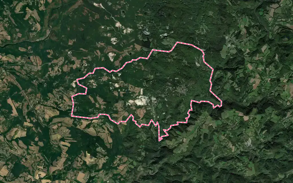 Vue satellite de Saint-Salvy-de-la-Balme avec ses contours administratifs