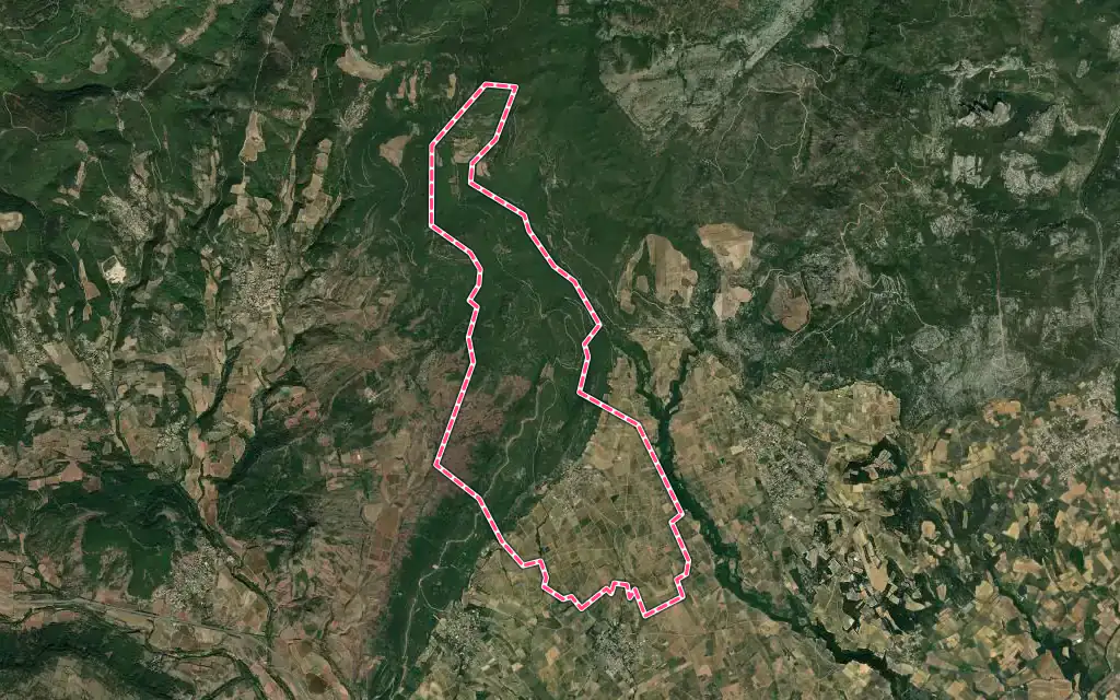 Vue satellite de Saint-Saturnin-de-Lucian avec ses contours administratifs