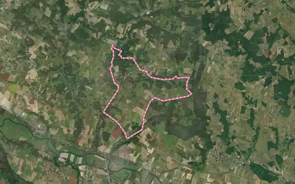 Vue satellite de Saint-Sauvant avec ses contours administratifs