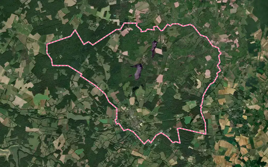 Vue satellite de Saint-Sauveur-en-Puisaye avec ses contours administratifs