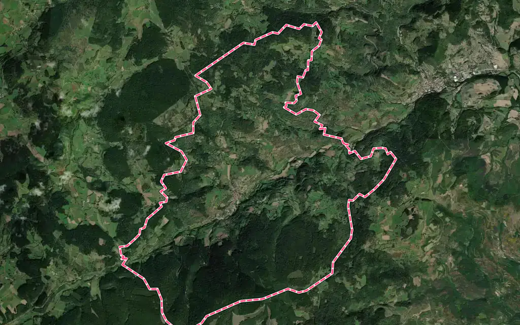 Vue satellite de Saint-Sauveur-en-Rue avec ses contours administratifs