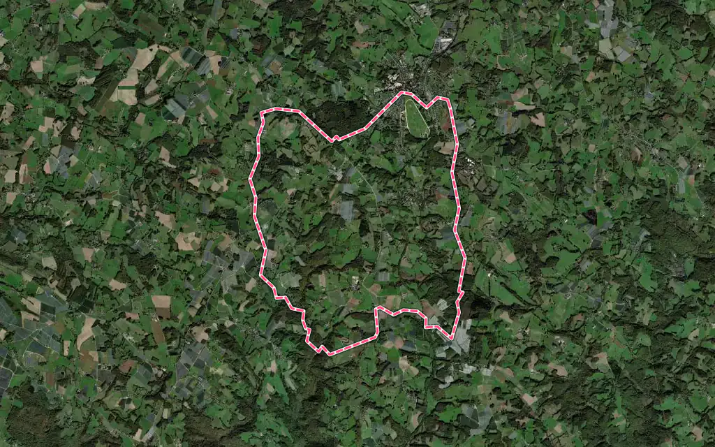 Vue satellite de Saint-Sornin-Lavolps avec ses contours administratifs