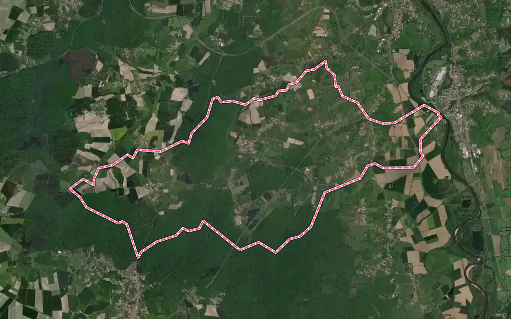 Vue satellite de Saint-Sylvestre-Pragoulin avec ses contours administratifs