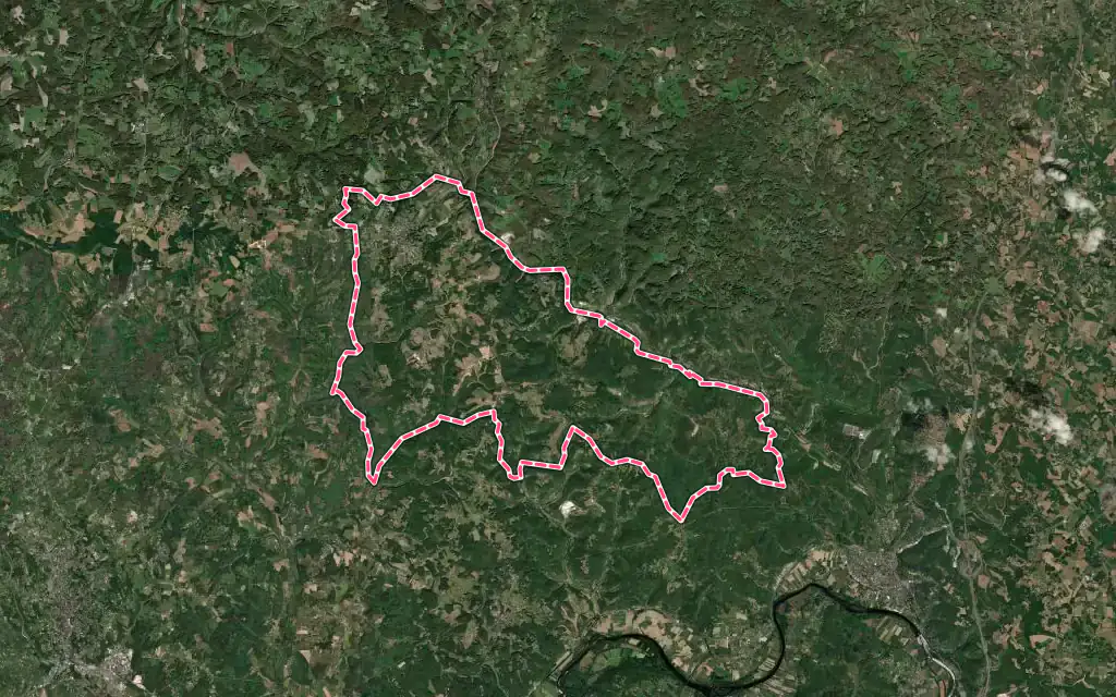Vue satellite de Salignac-Eyvigues avec ses contours administratifs