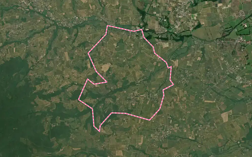 Vue satellite de Salles-Arbuissonnas-en-Beaujolais avec ses contours administratifs