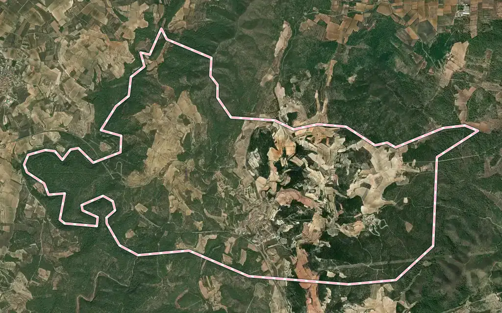 Vista satélite de Salomó con su contorno administrativo