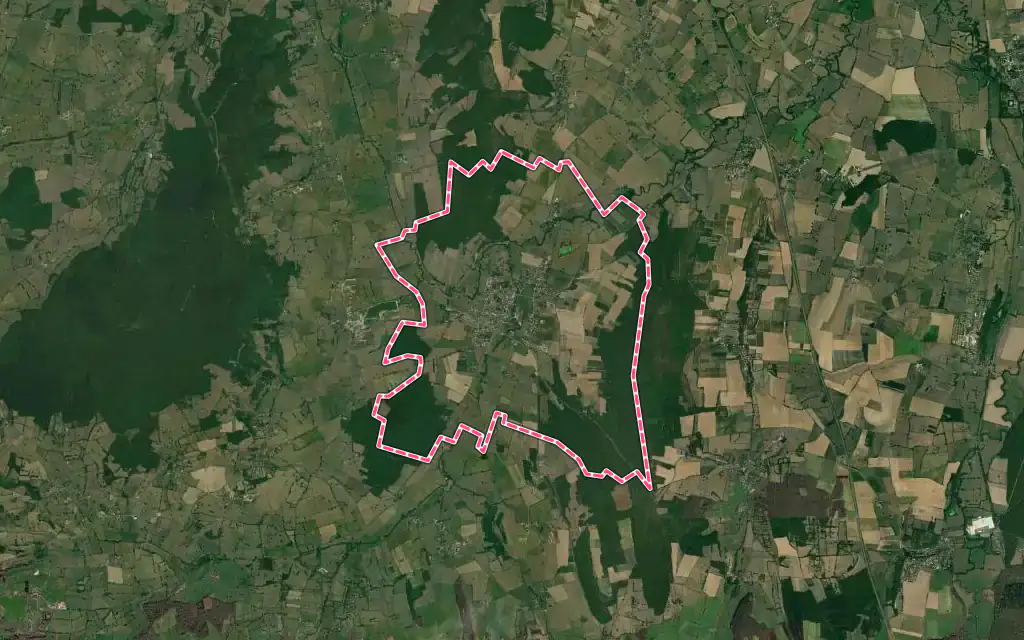Vue satellite de Salornay-sur-Guye avec ses contours administratifs