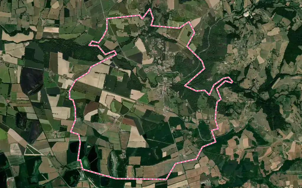 Vue satellite de Salt-en-Donzy avec ses contours administratifs