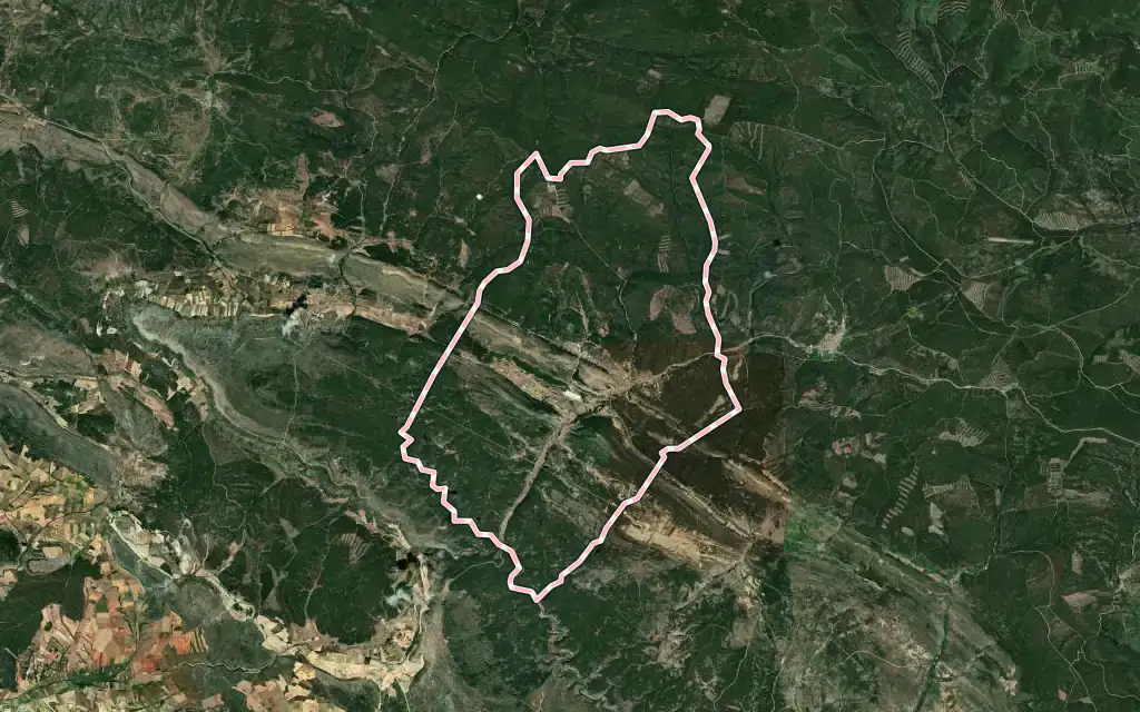 Vista satélite de San Leonardo de Yagüe con su contorno administrativo