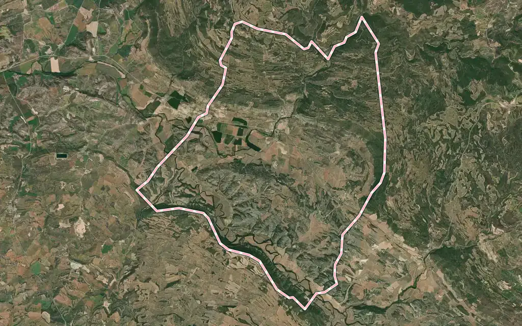 Vista satélite de Sanaüja con su contorno administrativo