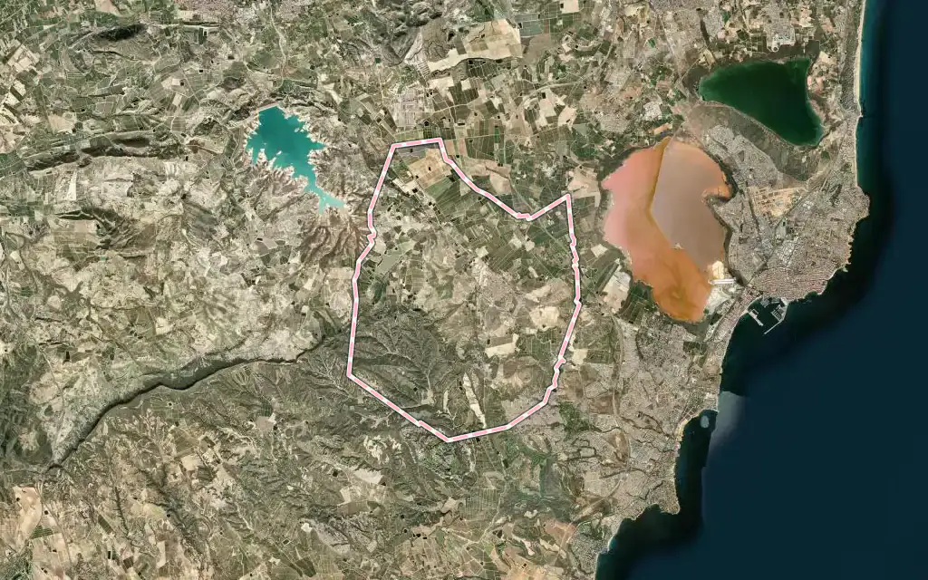 Vista satélite de San Miguel de Salinas con su contorno administrativo