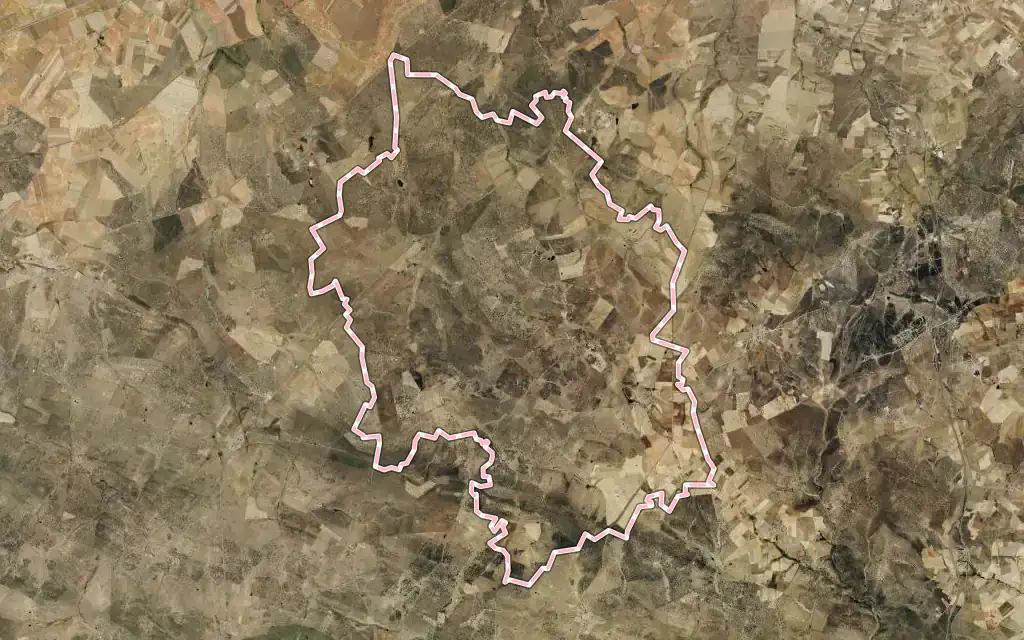 Vista satélite de San Pedro de Rozados con su contorno administrativo