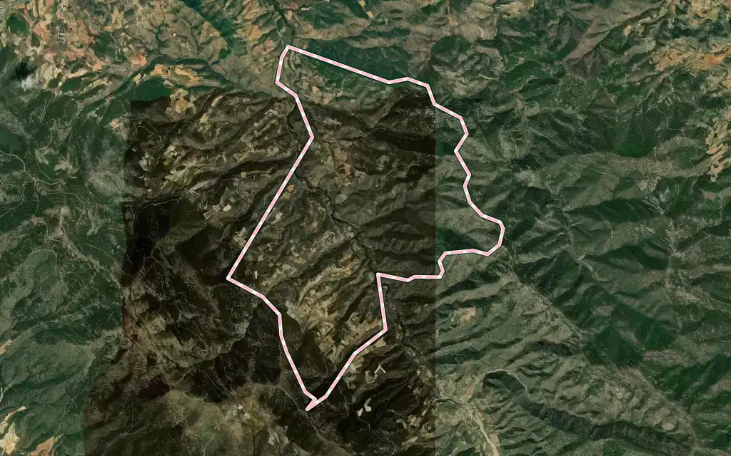 Vista satélite de Santa Cruz de Grío con su contorno administrativo