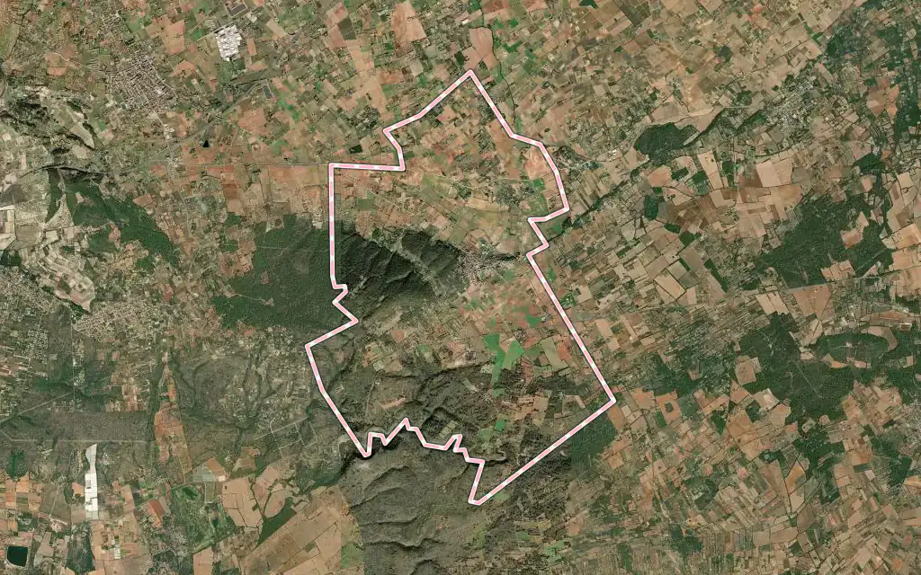 Vista satélite de Santa Eugènia con su contorno administrativo