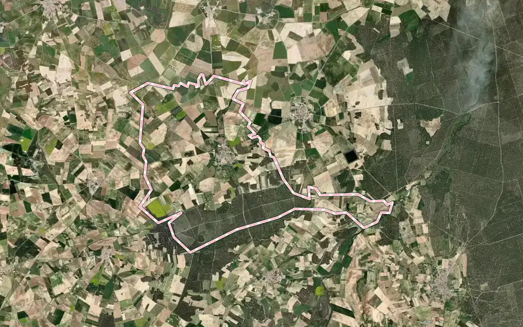 Vista satélite de San Vicente de Arévalo con su contorno administrativo