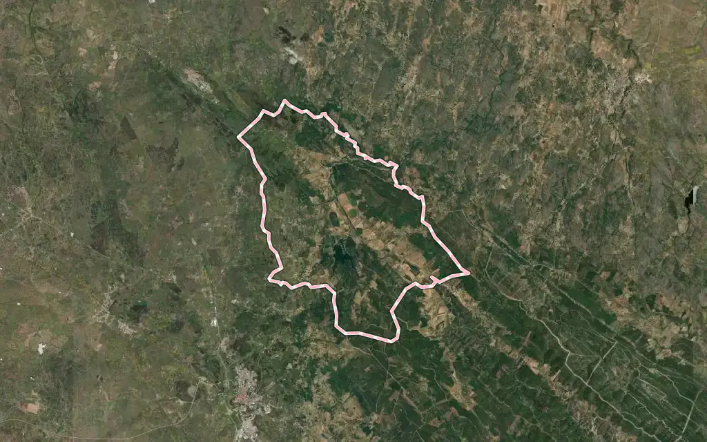 Vista satélite de São Salvador da Aramenha con su contorno administrativo