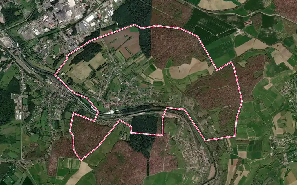 Vue satellite de Sarreinsming avec ses contours administratifs