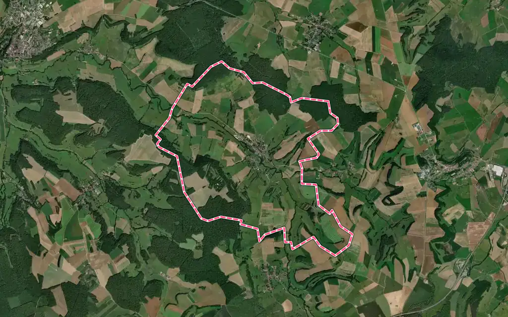 Vue satellite de Sarrey avec ses contours administratifs
