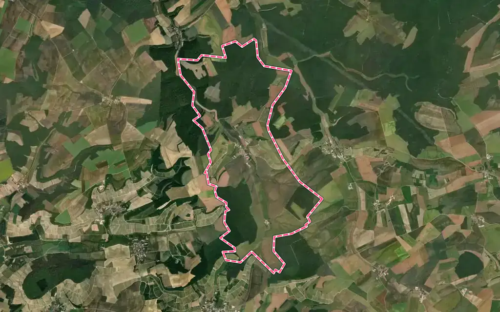 Vue satellite de Saulcy avec ses contours administratifs