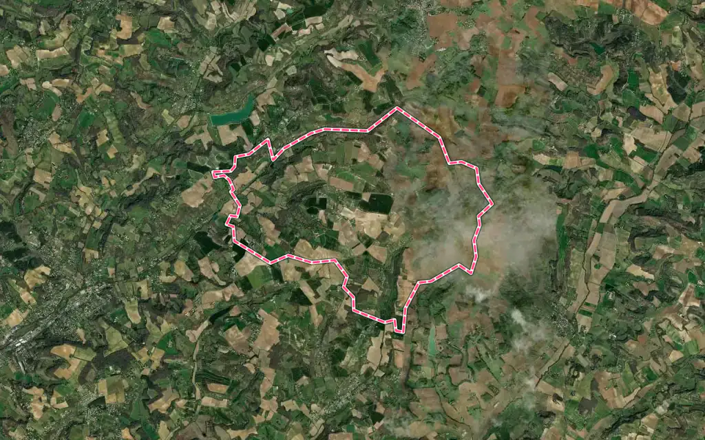 Vue satellite de Sauvagnas avec ses contours administratifs
