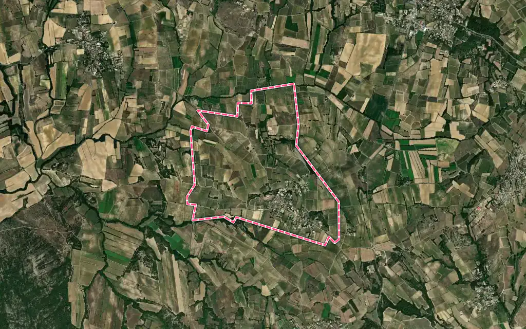 Vue satellite de Savignargues avec ses contours administratifs