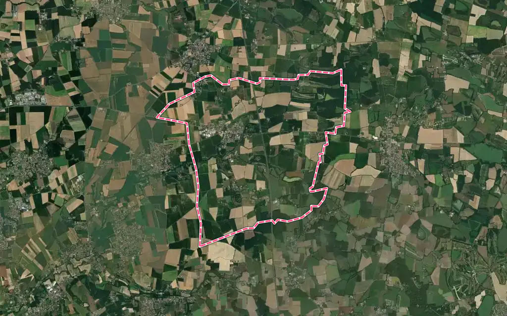 Vue satellite de Savigneux avec ses contours administratifs