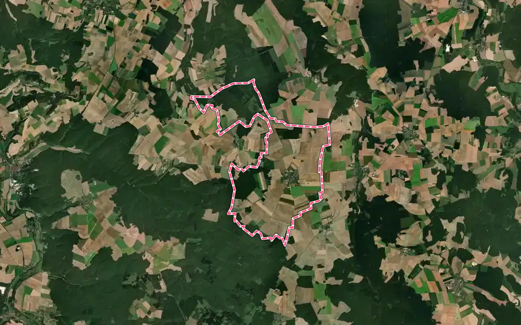 Vue satellite de Savoisy avec ses contours administratifs