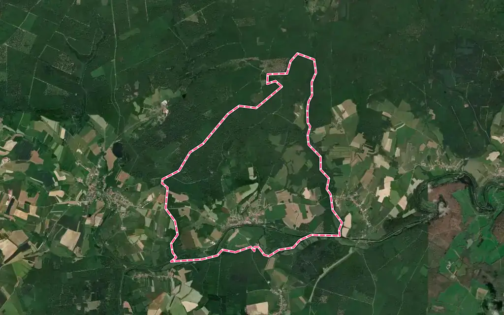 Vue satellite de Selles avec ses contours administratifs