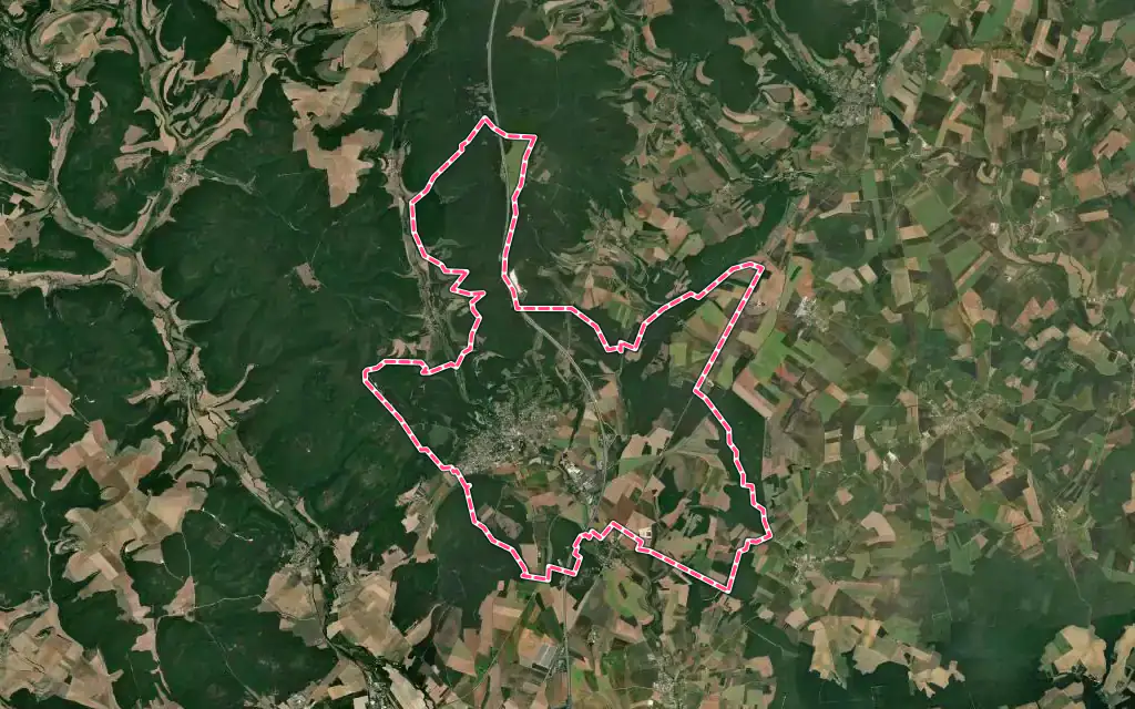 Vue satellite de Selongey avec ses contours administratifs