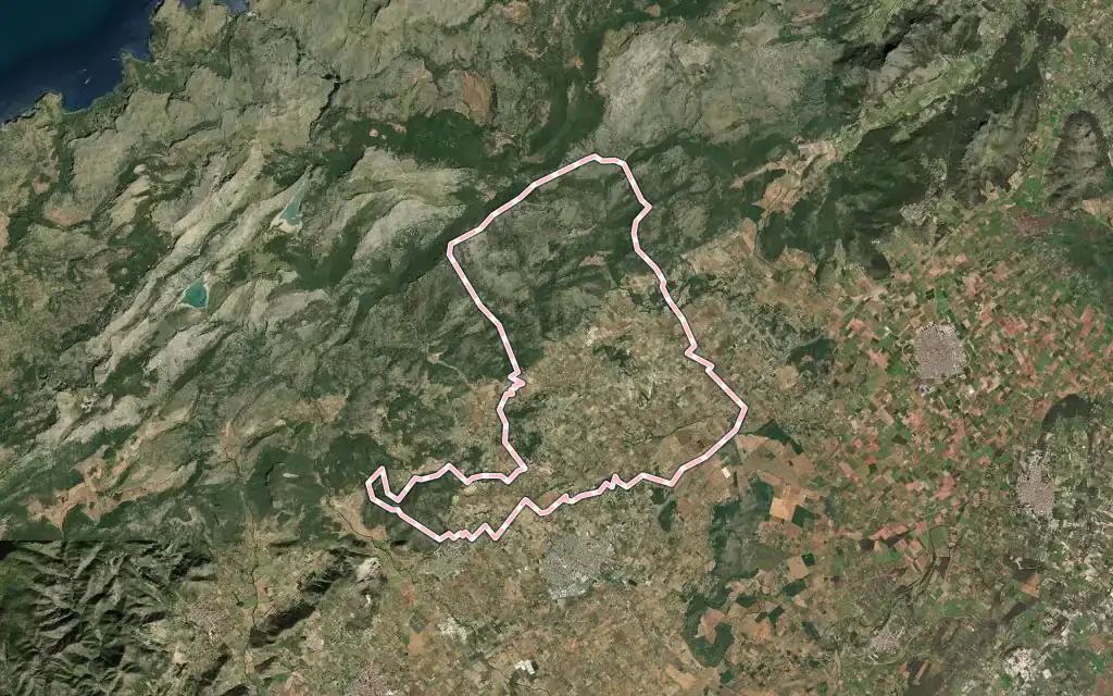 Vista satélite de Selva con su contorno administrativo