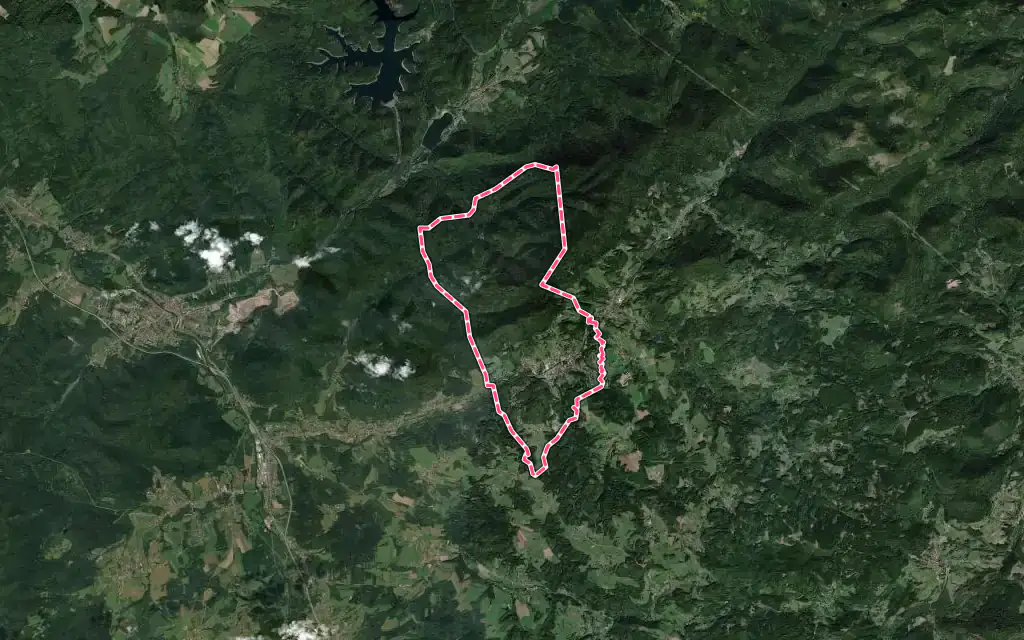 Vue satellite de Senones avec ses contours administratifs