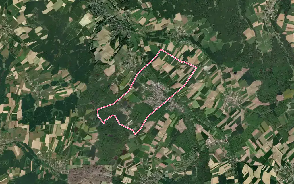 Vue satellite de Seppois-le-Bas avec ses contours administratifs